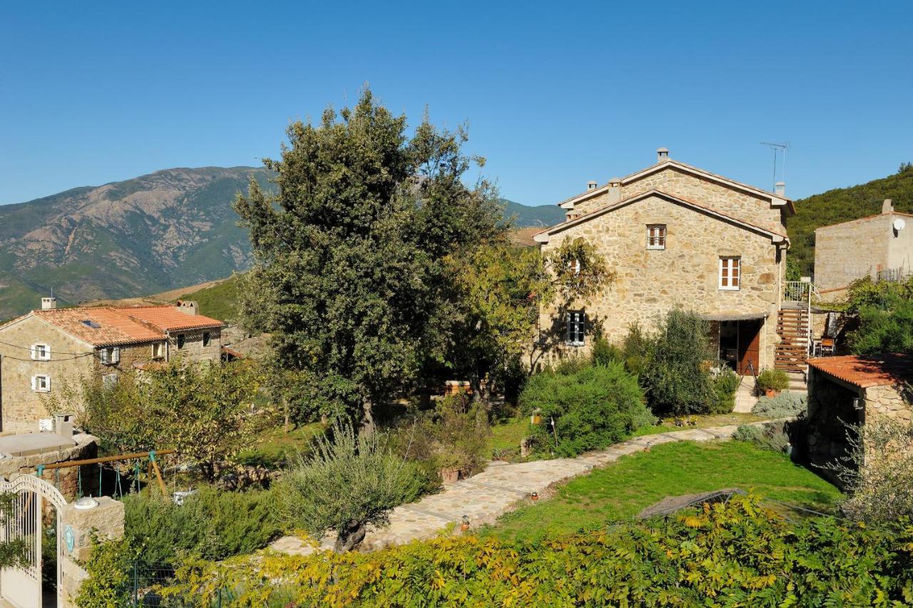 Entre Mer & Maquis, L'Ame De La Corse En Gites De Charme Avec Jacuzzi, Proche Ajaccio Peri Exterior photo
